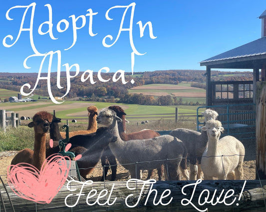 Adopt an Alpaca, Sponsor and Animal, Support Local Farmers, Alpaca Love, Animal Lover Gift, Unique Gifts for Mom, Sponsorship Package